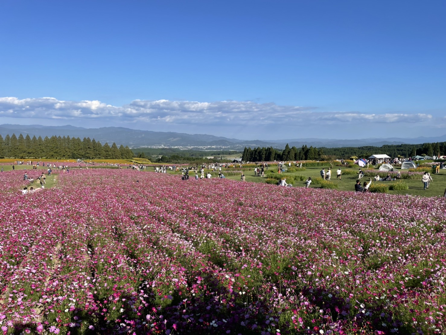 姶良市が県内トップ！「街の住みここちランキング2020・2021」2年連続♪